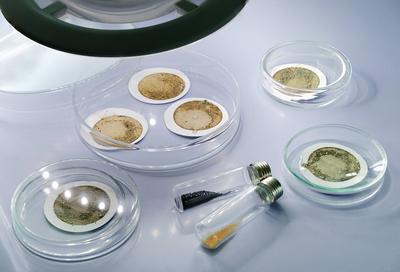 Mikroplastik im Rhein-stock-foto