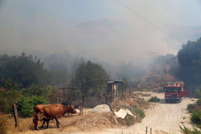 Smoke billows from a wildfire in the town of Delvine, south-east Albania, on August 13, 2025, as fire crews, aided by mi-stock-foto