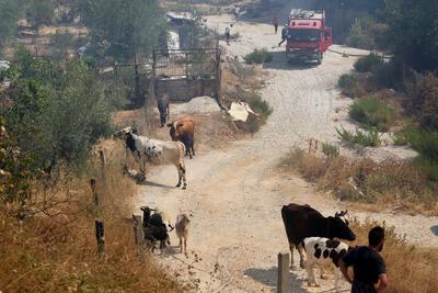 Firefighters spray water on a fire in the town of Delvine, south-east Albania, on August 13, 2025, as fire crews, aided-stock-foto