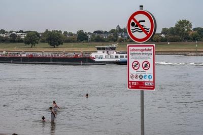 Badeverbot Rhein-stock-foto
