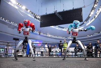 BEIJING, CHINA - AUGUST 14: Unitree Robotics robots showcase boxing skills at the opening ceremony of the 2025 World Hum-stock-foto