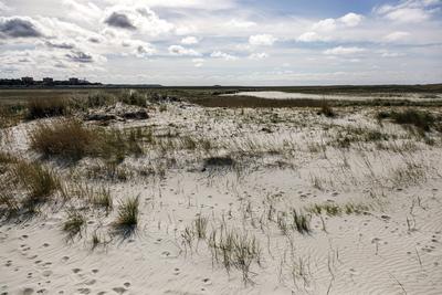 D?nenlandschaft am Strand von Sankt Peter-Ording *** Dune landscape on the beach of Sankt Peter Ording-stock-foto