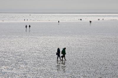 Wattwanderer bei Ebbe, Deutschland, Schleswig-Holstein, Schleswig-Holsteinisches Wattenmeer Nationalpark, Buesum tidal f-stock-foto