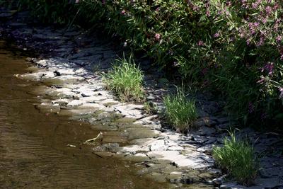 Sommer im Siegerland-stock-foto