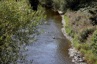 Sommer im Siegerland-stock-foto