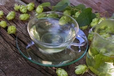 Gemeiner Hopfen Gewoehnlicher Hopfen Humulus lupulus Tee aus Hopfenzapfen Deutschland common ho-stock-foto