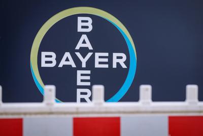 02.03.2024, Bayer AG, Die Bayer AG befindet sich im Umbau. Blick auf eine Baustellenabsperrung vor dem Research and Deve-stock-foto