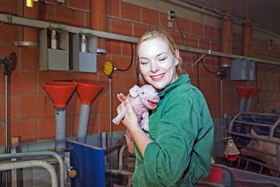 Spass am Umgang mit Schweinen, junge Landwirtin h?lt ein s??es Ferkel in den H?nden, Symbolfoto. Landwirtschaft mit Tier-stock-foto