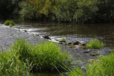 Wehrsteine / Weir Stones Bodypainting-stock-foto