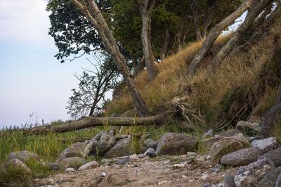 K?stensteine / Coastal Stones Bodypainting-stock-foto