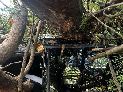 News - Water bomb on Milano Marittima trees on the ground-stock-foto