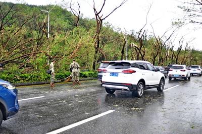 SANYA, CHINA - AUGUST 25: Workers clear fallen tree branches as Typhoon Kajiki brings strong winds and heavy rain on Aug-stock-foto