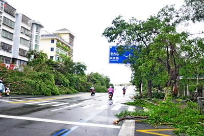 SANYA, CHINA - AUGUST 25: A street is covered with fallen tree branches and leaves as Typhoon Kajiki brings strong winds-stock-foto