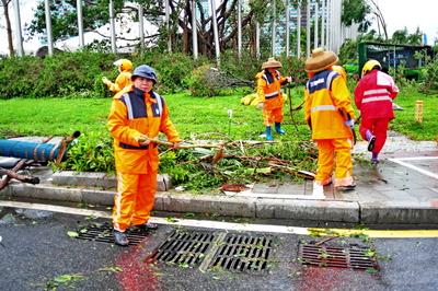 SANYA, CHINA - AUGUST 25: Workers clear fallen tree branches as Typhoon Kajiki brings strong winds and heavy rain on Aug-stock-foto