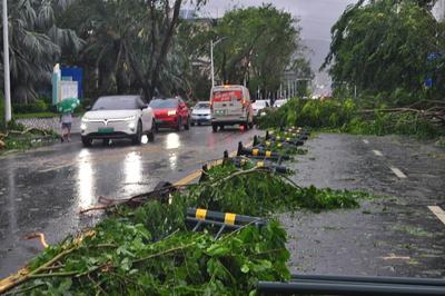 SANYA, CHINA - AUGUST 25: A street is covered with fallen tree branches and leaves as Typhoon Kajiki brings strong winds-stock-foto