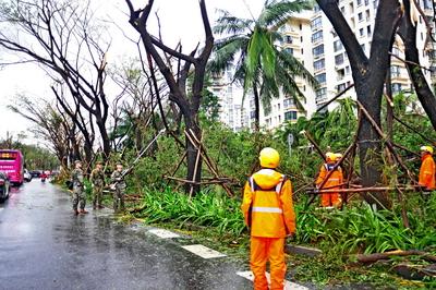SANYA, CHINA - AUGUST 25: Workers clear fallen tree branches as Typhoon Kajiki brings strong winds and heavy rain on Aug-stock-foto