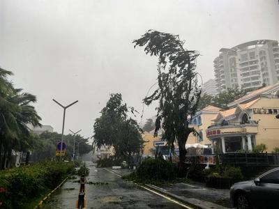 SANYA, CHINA - AUGUST 24: Fallen tree branches lie on the street as Typhoon Kajiki brings strong winds and heavy rain on-stock-foto