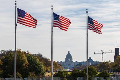 The United States Capitol building with US flags in Washington DC, USA. The United States Capitol building seen from the-stock-foto
