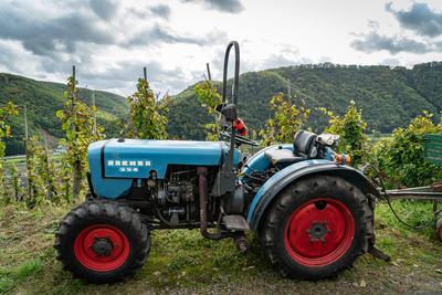 Wreintraubenernte - ein Weinbautraktor mit angeh?ngtem Anh?nger steht am Weinberg vor den Weinreben, Symbolfoto. Weinanb-stock-foto