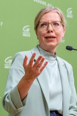 20250828 Pressekonferenz der Gruenen die Ankuendigungsweltmeisterkoalition viel reden nix liefern-stock-foto