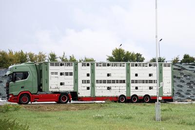 Ernte-PK des Thueringer Bauernverbands-stock-foto
