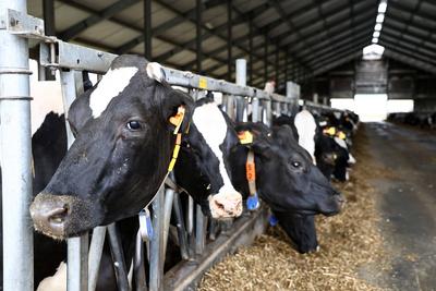 Ernte-PK des Thueringer Bauernverbands-stock-foto