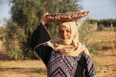 Palestinian Amune Abu Rajila 72, works on the International Day of Rural Women Palestinian Amune Abu Rajila 72, works on-stock-foto