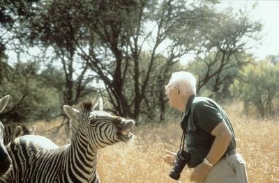 Bildnummer: 57114541  Datum: 27.02.1992  Copyright: imago/teutopress Dr?schers Tierwelt (SAT.1) Vitus B. Dr?scher teu quer halb Tier Zebra TV-Produktion Fernsehen Magazin Tierfilm leger Hemd Fotoapparat neutral Profil Mann Fernsehen Journalismus Moderation wei?haarig Brille People xbs x1x 1992 quer 57114541 Date 27 02 1992 Copyright Imago   Wildlife SAT 1 Vitus B Dr?scher TEU horizontal half Animal Zebra TV Production Television Magazine Animal film casual Shirt Camera neutral Profile Man Television Journalism Moderation wei?haarig Glasses Celebrities xbs x1x 1992 horizontal-stock-foto