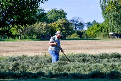 Deutschland, Baden-Wuerttemberg, Karlsruhe-stock-foto