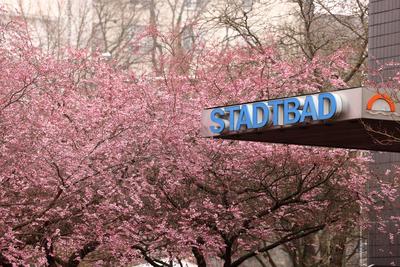 Fruehling (Fr?hling) im Siegerland-stock-foto