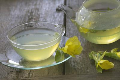 Gemeine Nachtkerze, Oenothera biennis, common evening primrose-stock-foto