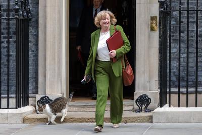 Ministers Attend Cabinet Meeting-stock-foto