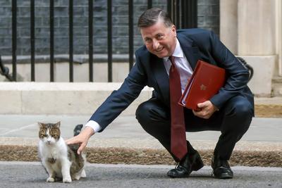 Ministers Attend Cabinet Meeting-stock-foto