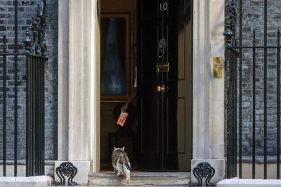 Ministers Attend Cabinet Meeting-stock-foto