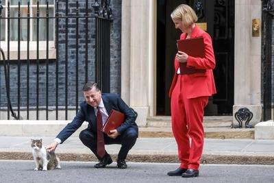 Ministers Attend Cabinet Meeting-stock-foto