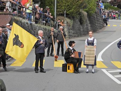 Alpabfahrt-stock-foto