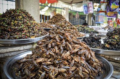 Food market in Cambodia, close up of trays with heaps of a selection of deep fried exotic insects. Food market in Cambod-stock-foto