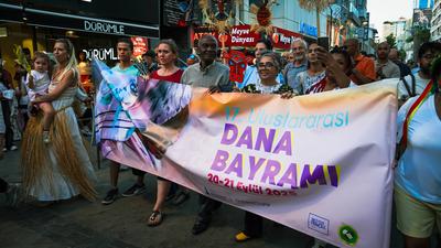 Afro-Turks celebrated the 17th International Calf Feast-stock-foto