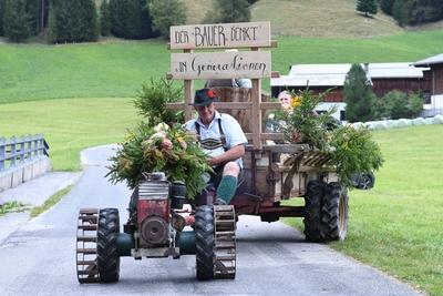 Almabtrieb 2025-stock-foto