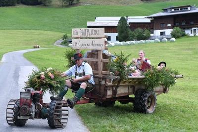 Almabtrieb 2025-stock-foto