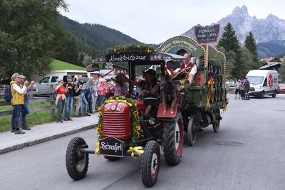 Almabtrieb 2025-stock-foto