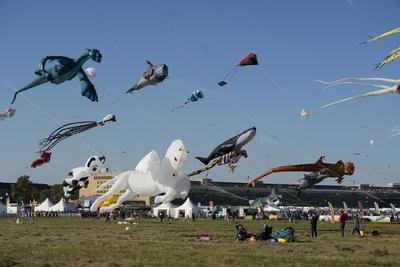 Festival der Riesendrachen auf dem Tempelhofer Feld in Berlin,  Berlin-Tempelhof-stock-foto