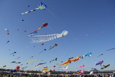Festival der Riesendrachen auf dem Tempelhofer Feld in Berlin,  Berlin-Tempelhof-stock-foto