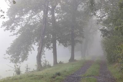 Herbst im Siegerland-stock-foto