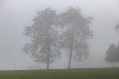 Herbst im Siegerland-stock-foto