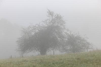 Herbst im Siegerland-stock-foto
