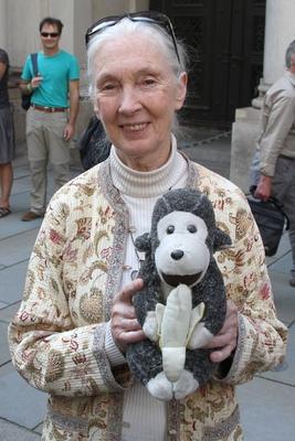 Dr. Jane Goodall und die Umwelthauptstadt: ?Jeder Jugendliche in Hamburg z?hlt!? , Hamburg, Rathaus, 03.092011, Dr. Jane-stock-foto