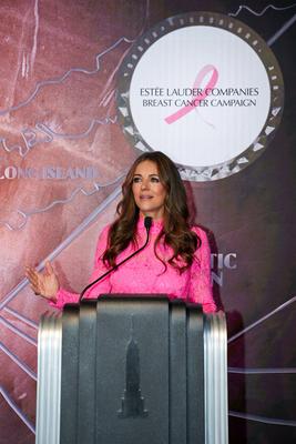 Elizabeth Hurley and William Lauder Lead Empire State Building Pink Lighting for Breast Cancer Awareness-stock-foto