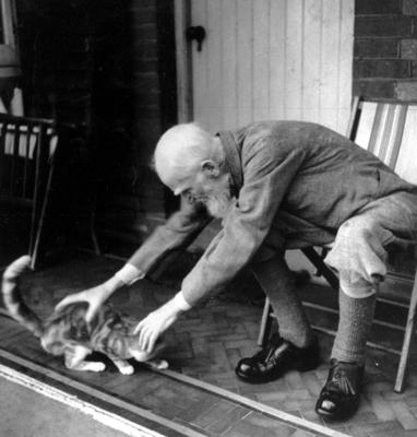 George Bernard Shaw always had a fellow feeling with cats Shaw 1856 1950 was an Irish playwright-stock-foto