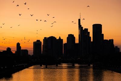 Die Frankfurter Skyline am Abend-stock-foto